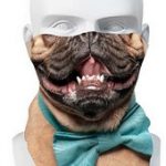 Dog (2)
