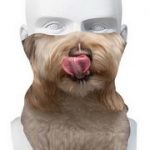 Dog Mouth
