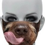 Mask_100