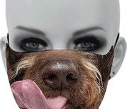 Mask_100