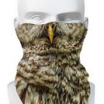 owl